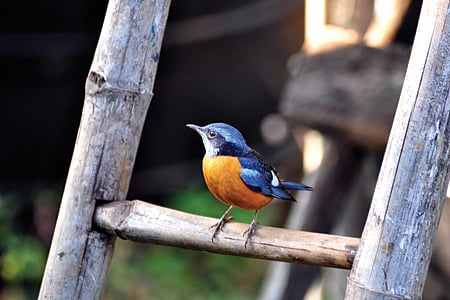 இதுவும் யோகாதான்!