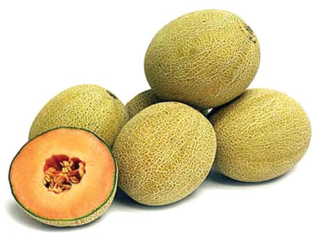 மூல நோயைக் குணப்படுத்தும் முலாம்பழம்!