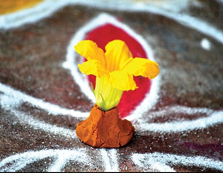 பூசணிப் பூ