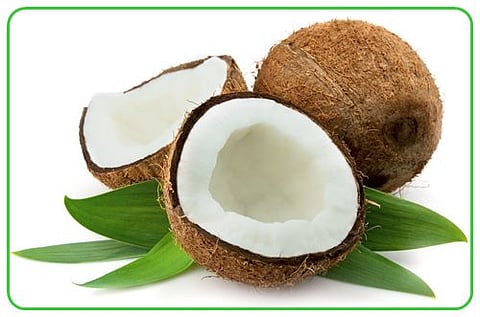 3. மனிதனுக்கு உரிய இயற்கை உணவுகள்