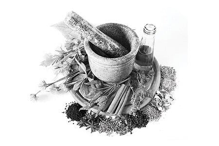 சித்த மருத்துவத்துக்குப் பயன்படும் மான் கொம்பு, ஆமை ஓடுமத்திய அரசின் தடையால் மருந்து தயாரிப்பு பாதிப்பு