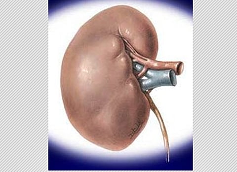 சிறுநீரகங்களில் கிருமி தொற்றினால்...?