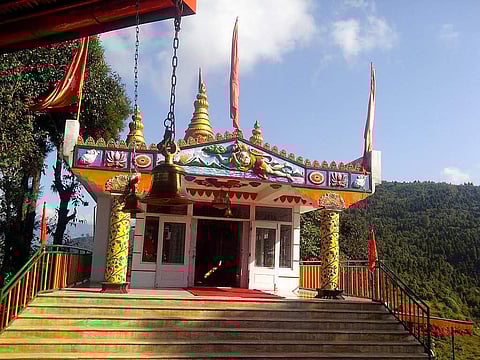 சஞ்சீவினி மூலிகை நிஜமா? இல்லையா? இதோ இன்னொரு சாட்சி!