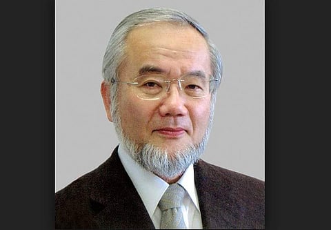 ஜப்பான் நாட்டு பேராசிரியருக்கு மருத்துவத்துக்கான நோபல் பரிசு