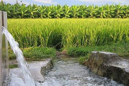 விவசாய மின் இணைப்புக்கு 4.50 லட்சம் பேர் காத்திருப்பு: மாற்றுக் கொள்கை அவசியம்