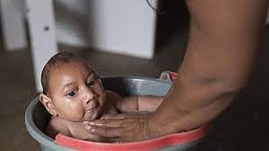 ஸிகா வைரஸ்: சர்வதேச அவசர நிலை பிரகடனம்