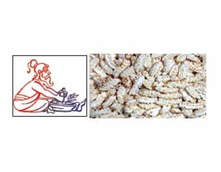 ஆயுள் காக்கும் ஆயுர்வேதம்: இரத்தக் கசிவும் பட்டினி சிகிச்சையும்!