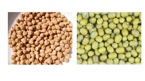 ஆயுள் காக்கும் ஆயுர்வேதம்