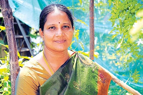 சிறுநீரகக் கல்லை கரைக்கும் பூனைமீசை சொல்கிறார் : சுபஸ்ரீ விஜய்