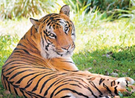 தெரியுமா?