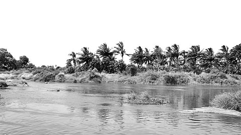 தனியாருக்கு மடை மாற்றப்பட்ட தாமி​ர​வ​ருணி!​​