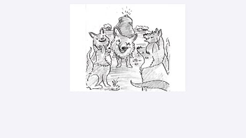 முத்துக் கதை: வால் இழந்த நரி