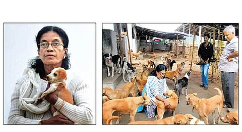 கதவுகள் இல்லை.. ஜன்னல்கள் இல்லை...சொல்கிறார்: கீதாராணி