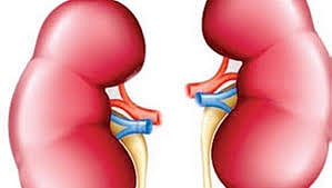 சிறுநீரக மாற்று அறுவை சிகிச்சை முறையில்  புதிய கண்டுபிடிப்பு! 