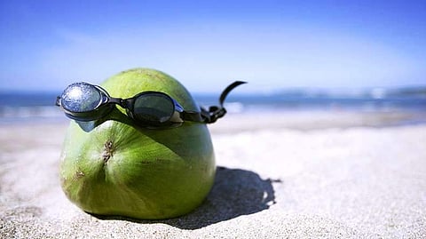 செப்டம்பர் 2: சர்வதேச தேங்காய் தினம் 