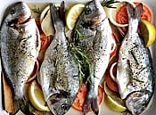 சாம்பல புலுசு