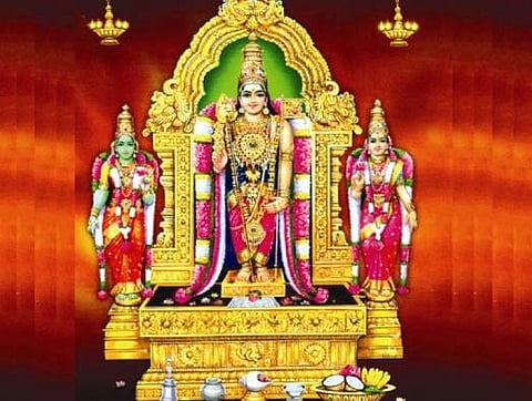 பழநியில் பாதி "கொடும்பு!'