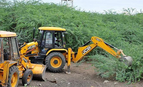 சீமைக் கருவேல மரங்களை வேரோடு அழிக்க வேண்டும்! ஏன் தெரியுமா? 