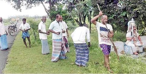 வாழப்பாடி பகுதியில் பனை விதைகளை விதைக்க இளைஞர்கள் ஆர்வம்