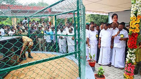 வண்டலூர் அண்ணா உயிரியல் பூங்காவில் ஆண் சிங்கத்துக்கு (இடது) விஷ்ணு என்று பெயர் சூட்டிய முதல்வர் எடப்பாடி கே.பழனிசாமி. உடன் அமைச்சர்கள் டி.ஜெயக்குமார், திண்டுக்கல் சீனிவாசன், முன்னாள் தென் சென்னை மக்கள