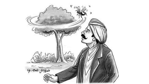 காலமாம் வனம்!