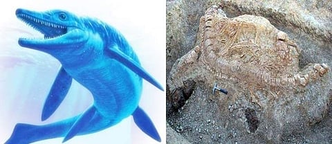 இந்தியாவின் முதல் டைனோசார் படிமம் குஜராத்தில் கண்டெடுப்பு