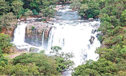 நீர்ப்பிடிப்புப் பகுதியில் அமைந்துள்ள துவானம் அருவியில் பெருக்கெடுத்தோடும் வெள்ளம்.