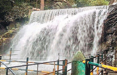 சுருளி அருவியில் சுற்றுலா பயணிகள் உள்ளே நுழையாமல் இருக்க வியாழக்கிழமை அமைக்கப்பட்டுள்ள தடுப்புக் கம்பிகள்.