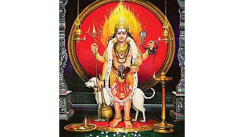 துயர் துடைக்கும் பைரவர் வழிபாடு!