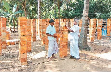 லாபம் தரும் தேனீக்கள்