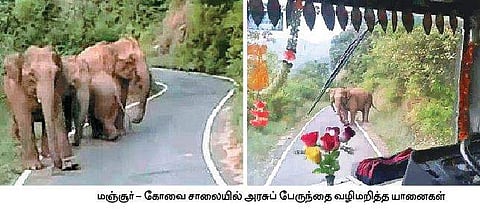 அரசுப் பேருந்தை வழிமறித்த யானைகள்