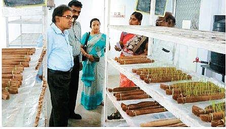 காஞ்சிபுரம் விதைப் பரிசோதனை மையத்தில் ஆய்வில் ஈடுபட்ட விதைப் பரிசோதனை இயக்குநர் மூர்த்தி.