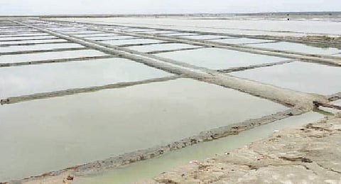 மழைக்கால நிவாரணத் தொகைக்கு காத்திருக்கும் உப்பளத் தொழிலாளர்கள்!