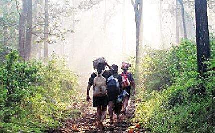 சபரிமலை: பெருவழிப் பாதையில் செல்லும் பக்தர்களுக்குசிறப்பு வரிசை ஏற்பாடு?