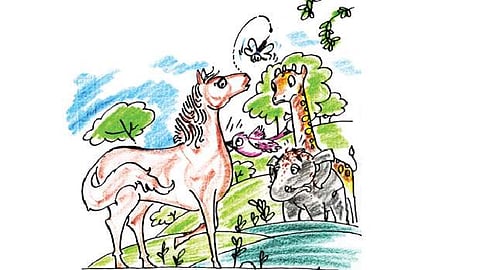 கதைப் பாடல்: சிரிக்காத குதிரை