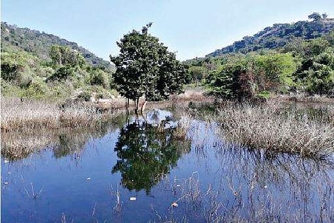 மேகமலை மீதுள்ள ஏரி.