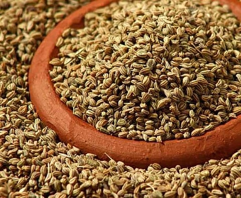 இன்றைய மருத்துவ சிந்தனை: ஓமம்