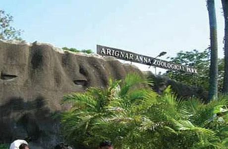 வண்டலூர் உயிரியல் பூங்கா 4 மாதங்களுக்குப் பின்னர் இன்று திறப்பு