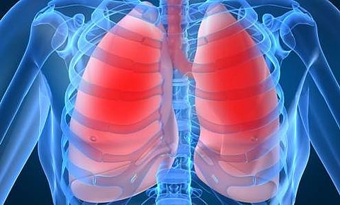 காச நோய்க்கு மருந்து!