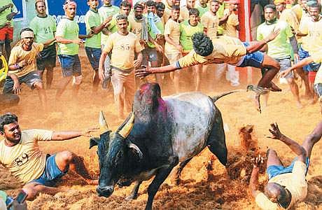 ஆசிரியர் தகுதித் தேர்வு வழிகாட்டி: தமிழக விளையாட்டுகள்