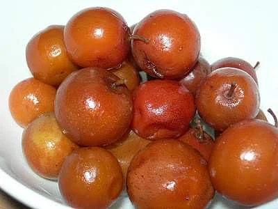 இன்றைய மருத்துவ சிந்தனை இலந்தை
