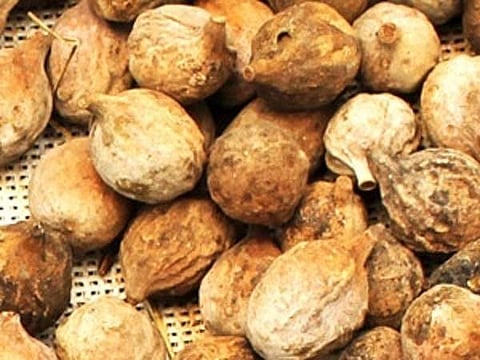 இன்றைய மருத்துவ சிந்தனை தான்றிக்காய்