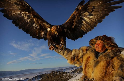 நீலகிரிக்கு ராமாயண ஜடாயு மாதிரி பெரிய கழுகுகள் வந்திருக்கிறதாமே?! சம்மர் விசிட் அங்க போகலாமா?