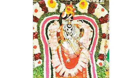 ஊஞ்சல் உற்சவத்தில்  சிறப்பு அலங்காரத்தில் அருள்பாலித்த உற்சவர் அம்மன்.