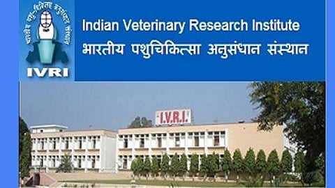 இந்திய கால்நடை ஆராய்ச்சி நிறுவனத்தில் வேலை