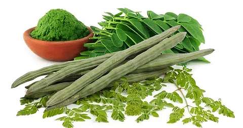 முருங்கைக் கீரையும், மகத்துவமும்!