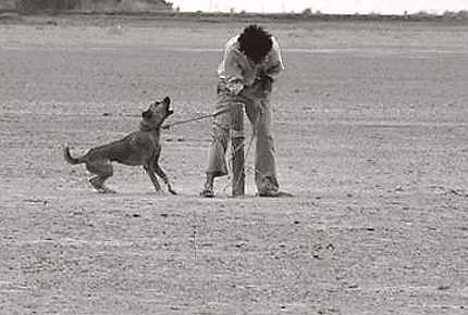 7. தீராநதியின் மீளாத்துயர்