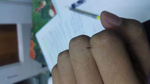 உற்சாகத்தில் மதி மயங்காதே