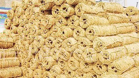 நலிவடையும் தென்னை மஞ்சுக் கயிறு தொழில்