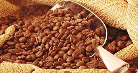 இந்திய காபி ஏற்றுமதி 11% உயர்வு